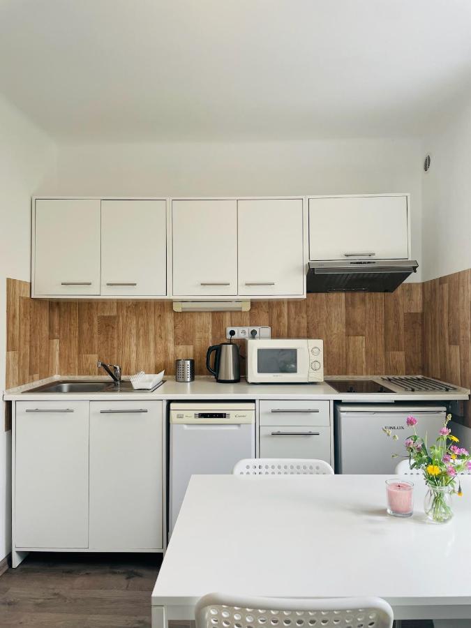 Apartman Galerie - リプノ・ナト・ヴルタヴォウ エクステリア 写真
