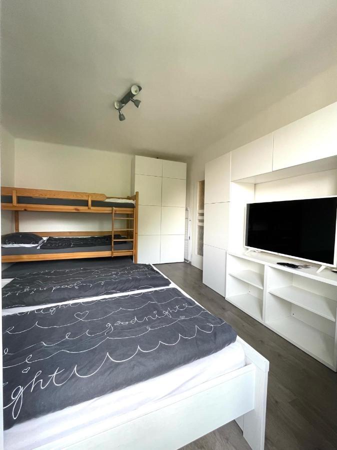 Apartman Galerie - リプノ・ナト・ヴルタヴォウ エクステリア 写真